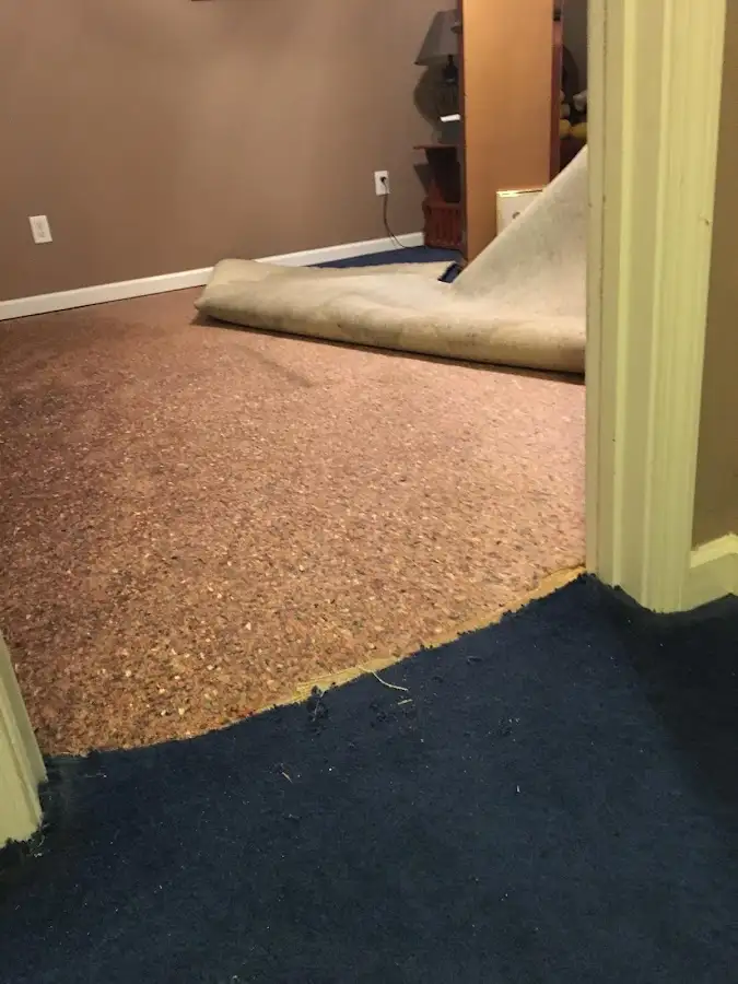 Carpet pad removal revealing water damage during Water Mitigation Services in Dracut